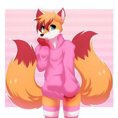 Kit Wiki Furry Amino.