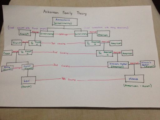ackerman family theory attack on titan amino