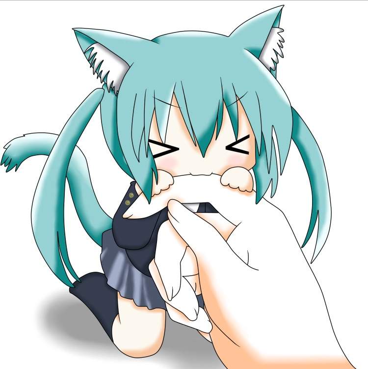 Miku Neko •anime• Amino