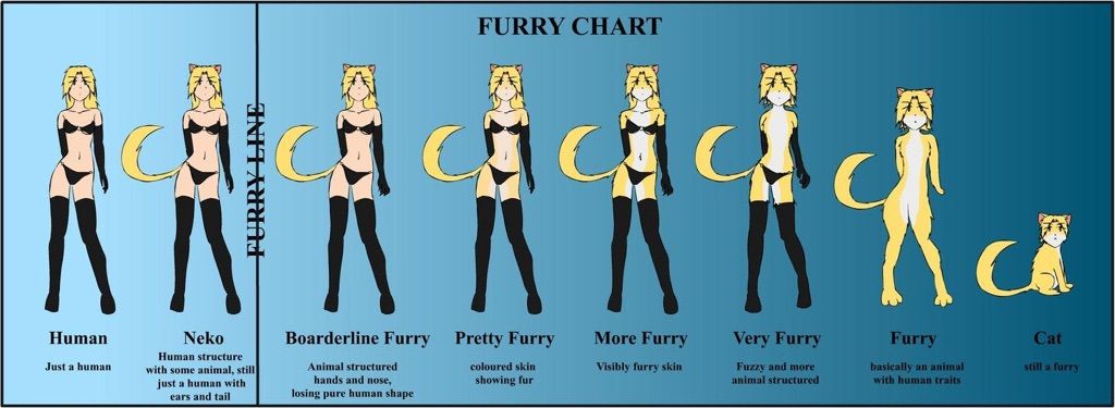 simplemente-furry-cartoon-amino-espa-ol-amino