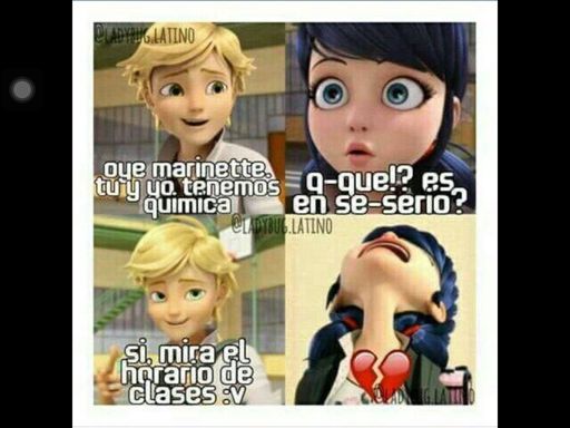 Meme Adrienette Miraculous Ladybug Espa Ol Amino