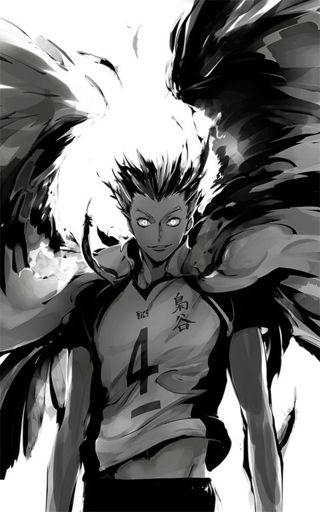 Bokuto Kōtarō Wiki Haikyuu Br Amino