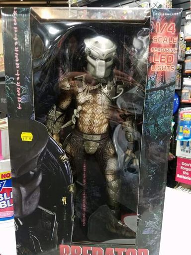 Predator Alien Vs Predator Universo Amino