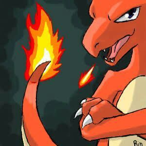 Charmander Y Sus Evoluciónes 