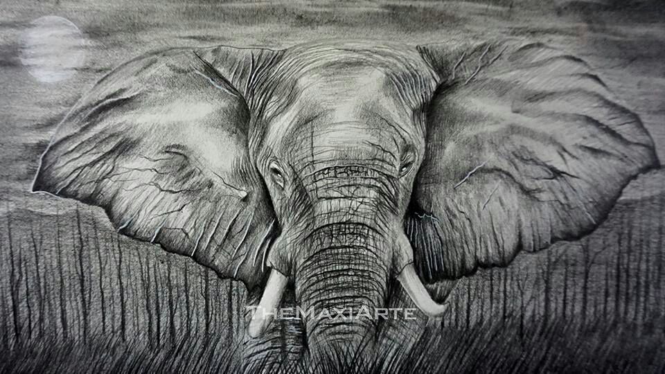 Elefante Dibujo A Lapiz Como Dibujar Un Elefante Tribal Paso A Paso