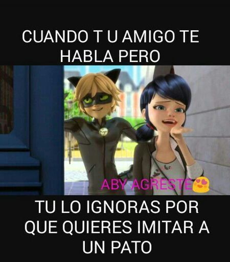 Memes •miraculous Ladybug Español• Amino