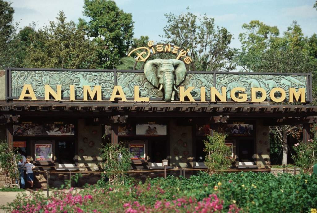 Animal Kingdom | Disney Amino