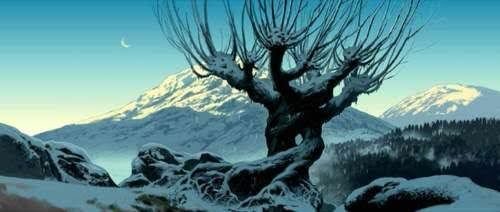 Salgueiro harry potter Clearance