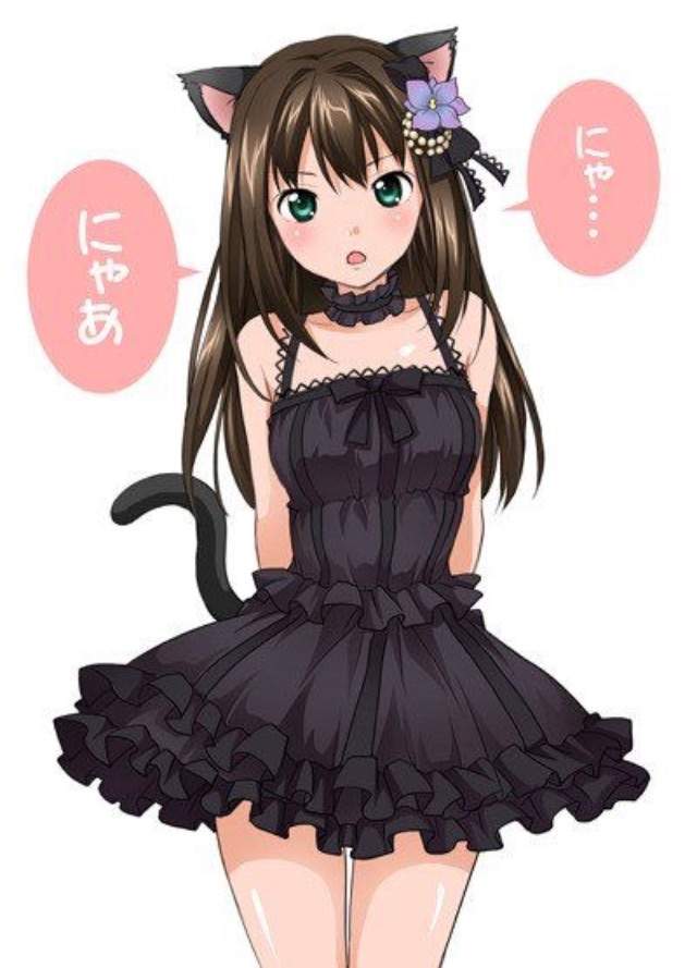 Resultado de imagem para anime girl cat eyes