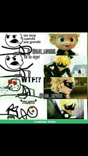 Memes •miraculous Ladybug Español• Amino