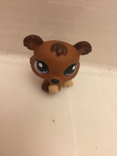 Jack | Wiki | littlest pet shop amino Amino