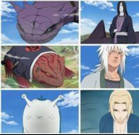 Which charater do you guys think has the best summoning animal? | Naruto  Amino