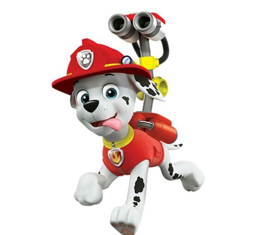 paw patrol water cannon