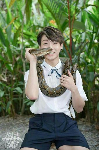 Jungkook and snake | ARMY's Amino