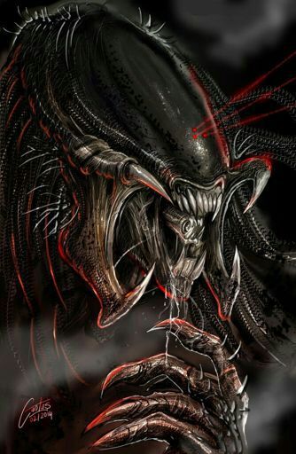 Predalien Xenomorph Porn - Predalien | Alien Versus Predator Universe Amino