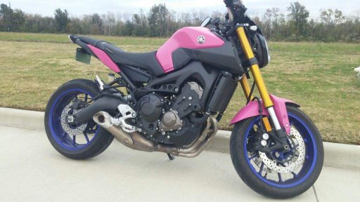 fz bike painting price