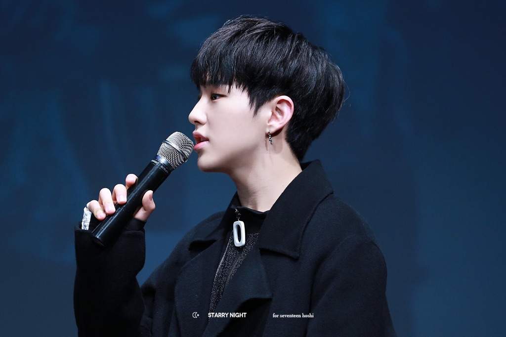 the lovely kwon soonyoung carat amino the lovely kwon soonyoung carat amino