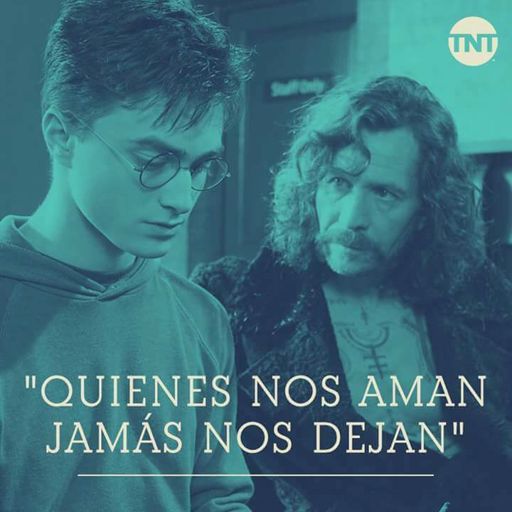 Cierto •harry Potter• Español Amino 7555