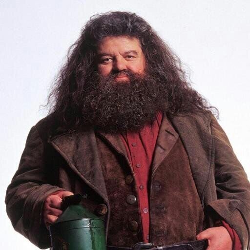 Profesores de Hogwarts Rebeus Hagrid •Harry Potter• Español Amino Profesores de Hogwarts Rebeus Hagrid •Harry Potter• Español Amino