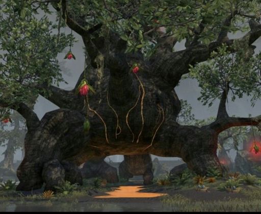 Mtgnexus Great Hist Tree