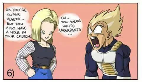 vegeta 10