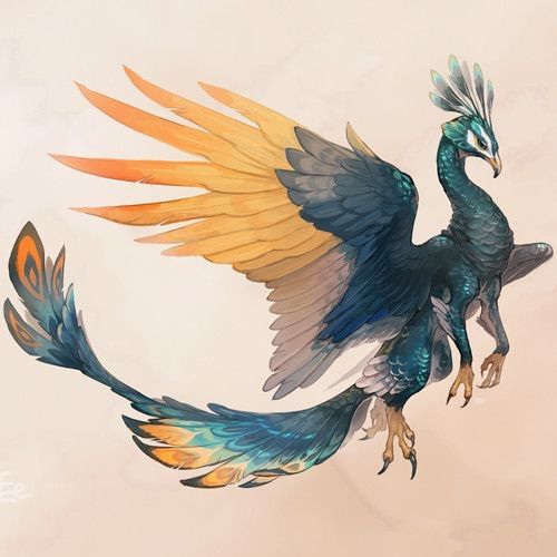 Peacock Griffion Guide | Wiki | Otherkin/Fictionkin Amino