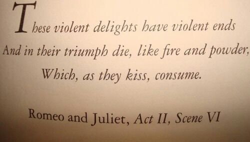 These Violent Delights...