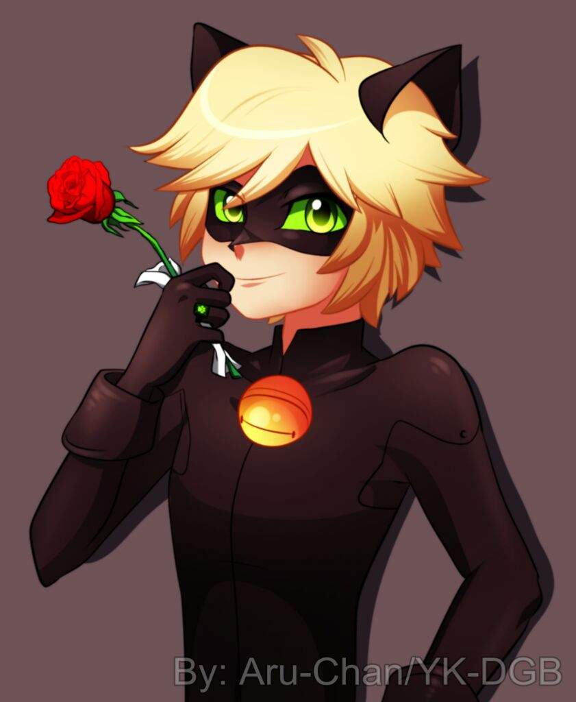 Chat Noir Adrien Agreste •miraculous Ladybug Español• Amino