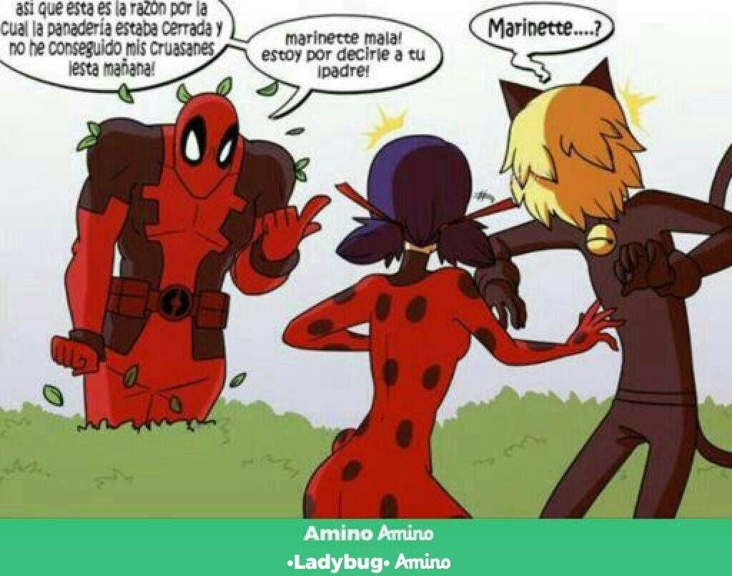 Comics Graciosos De Ladybug •miraculous Ladybug Español• Amino 
