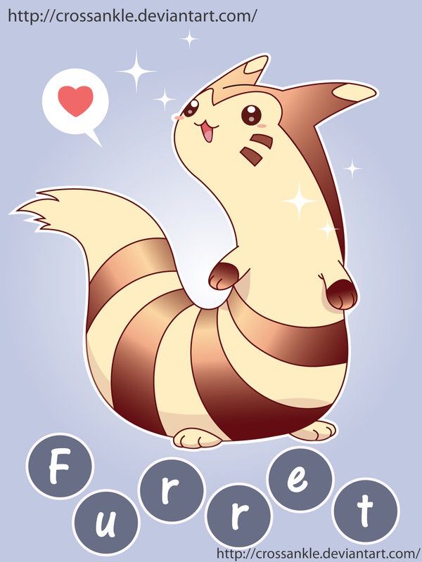 Furret | •Pokémon• En Español Amino