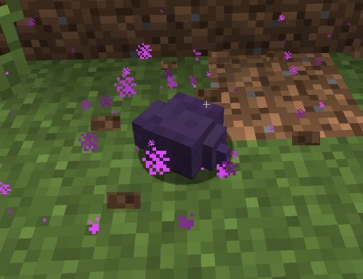 Endermite Minecraft Real Life