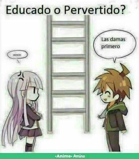 Educado O Pervertido Anime Amino