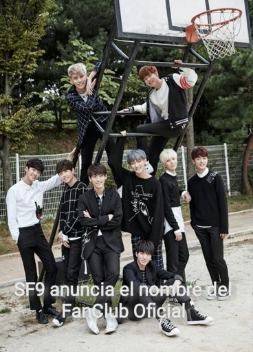 Sf Wiki Sf Kpop Amino