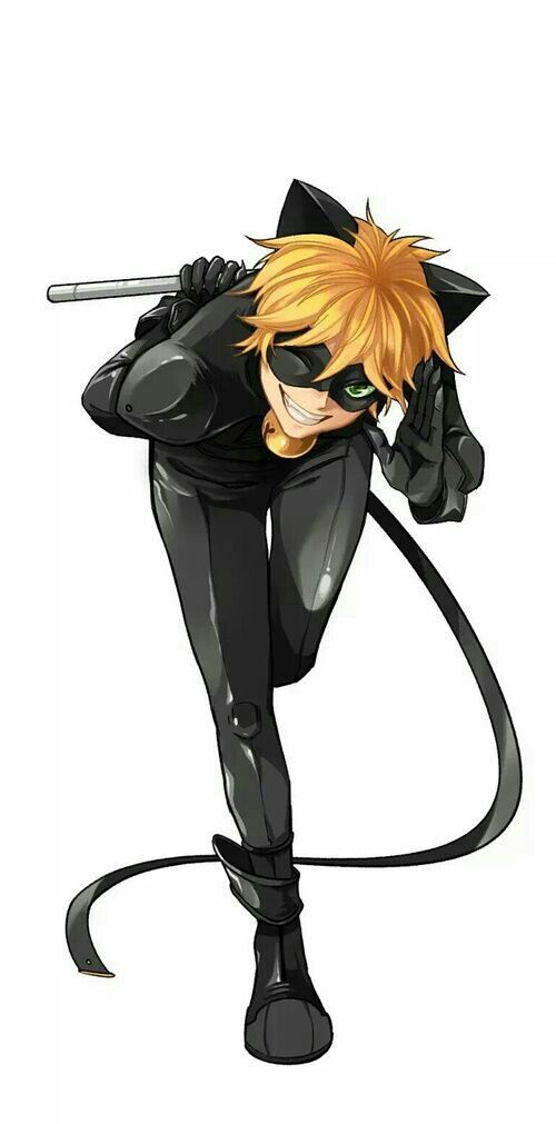 chat noir | •Anime• Amino