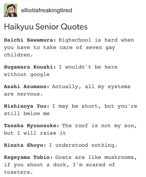 Haikyuu Senior Quotes | Haikyuu!! Amino