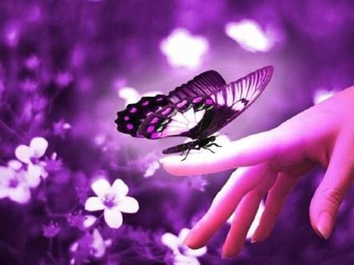 fb9c5ab1ebcc686aa4051d680c2ca6d89220b8c3