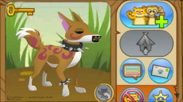 What animal should we add in aj next??? | AJ Amino Amino