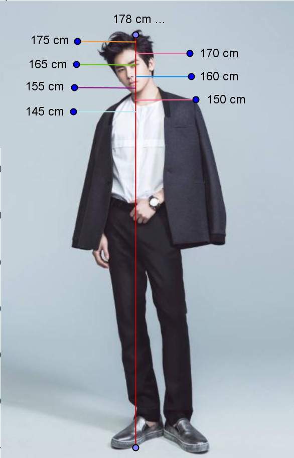 how-tall-is-165-centimeters