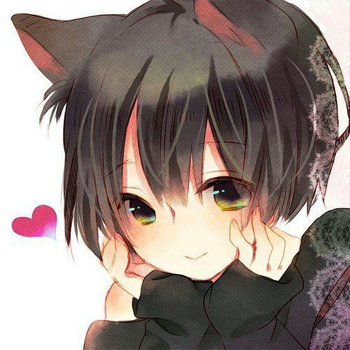 neko-rights-neko-amino