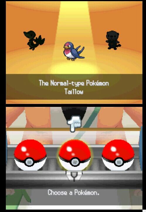 White Randomizer Nuzlocke Intro Pok Mon Amino