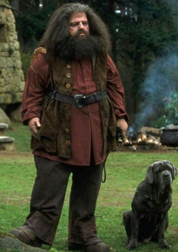 Rubeus Hagrid | Wiki | Harry Potter Amino