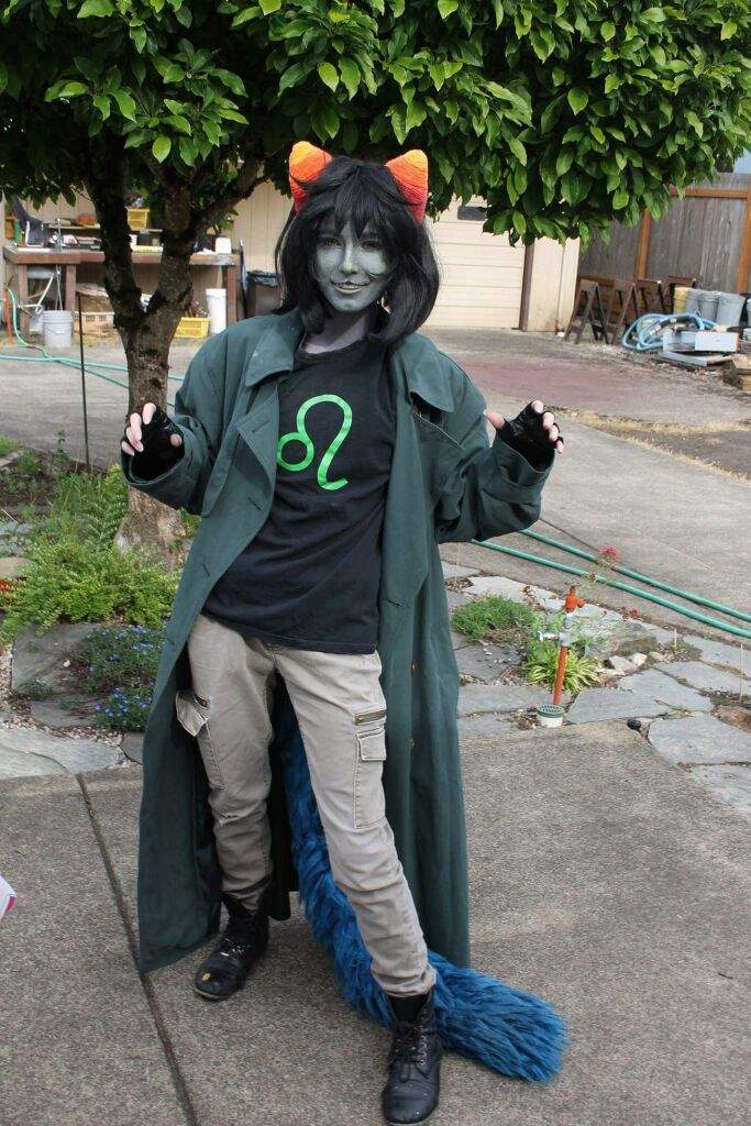 Nepeta Leijon Wiki Homestuck And Hiveswap Amino