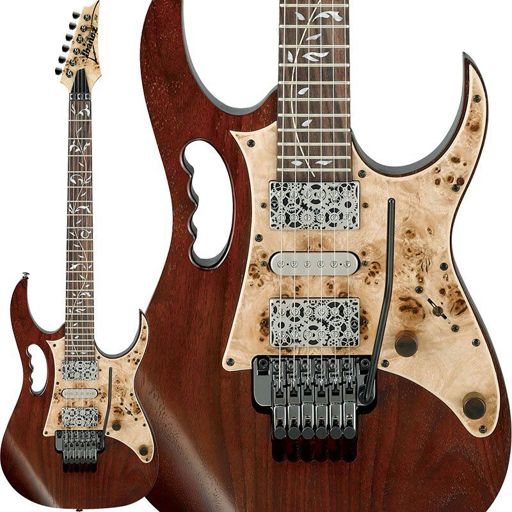 ibanez steve vai woody