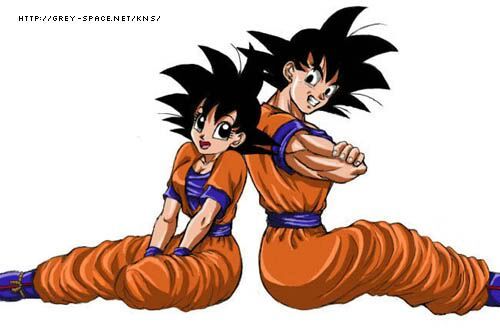 Goku and Goki (Female Goku) | Anime Amino