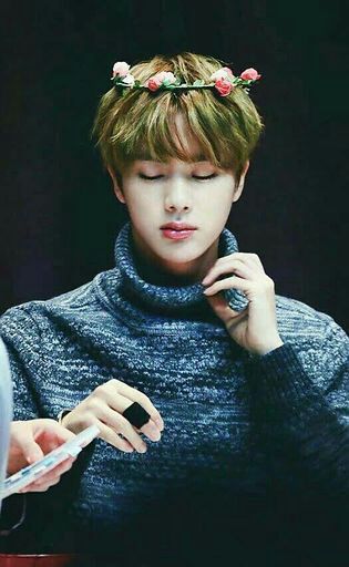 Kim Seok Jin | Wiki | ARMY's Amino