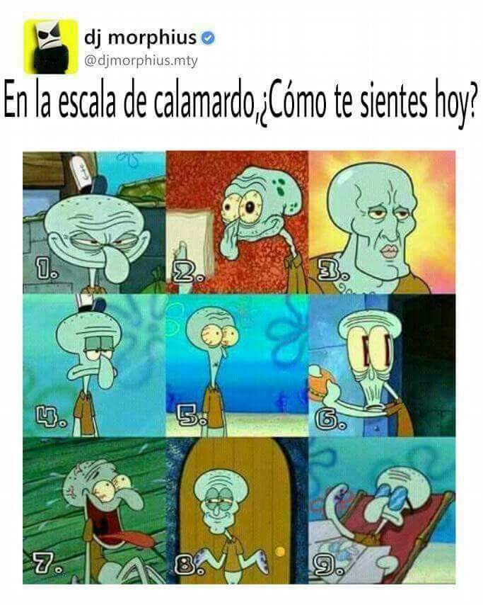 Como Te Sientes Hoy Meme Amino