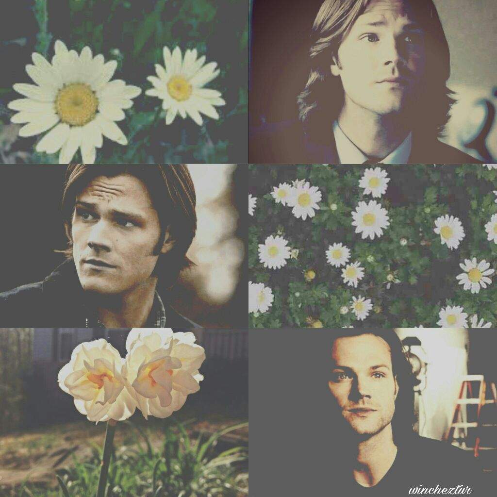 <b>Sam</b> <b>Winchester</b> Aesthetic 2AA.