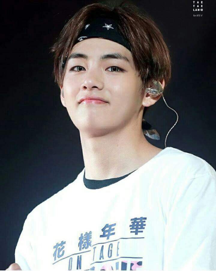 Kim Taehyung Profile | Kim Taehyung Amino