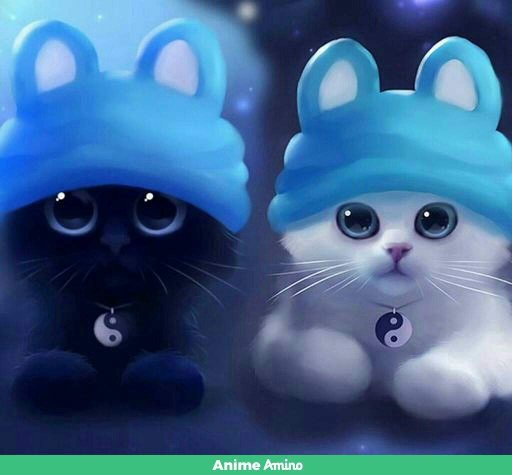 Kitties | Anime Amino