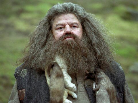 hagrid actor in real life